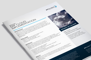 ERP Cloud Implementation – Case Study